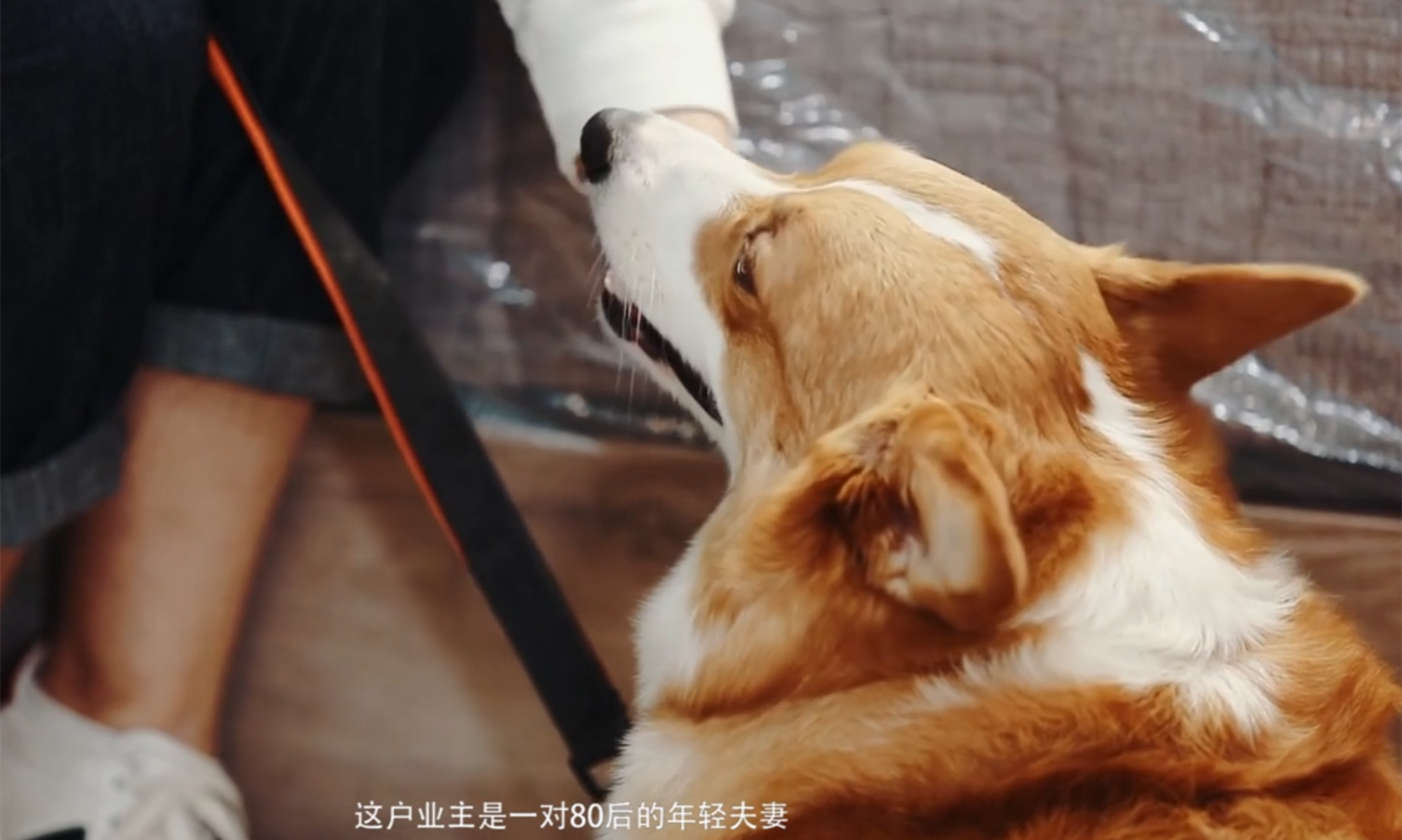 那些裝修后悔的事情大匯總 你家中槍了幾條？