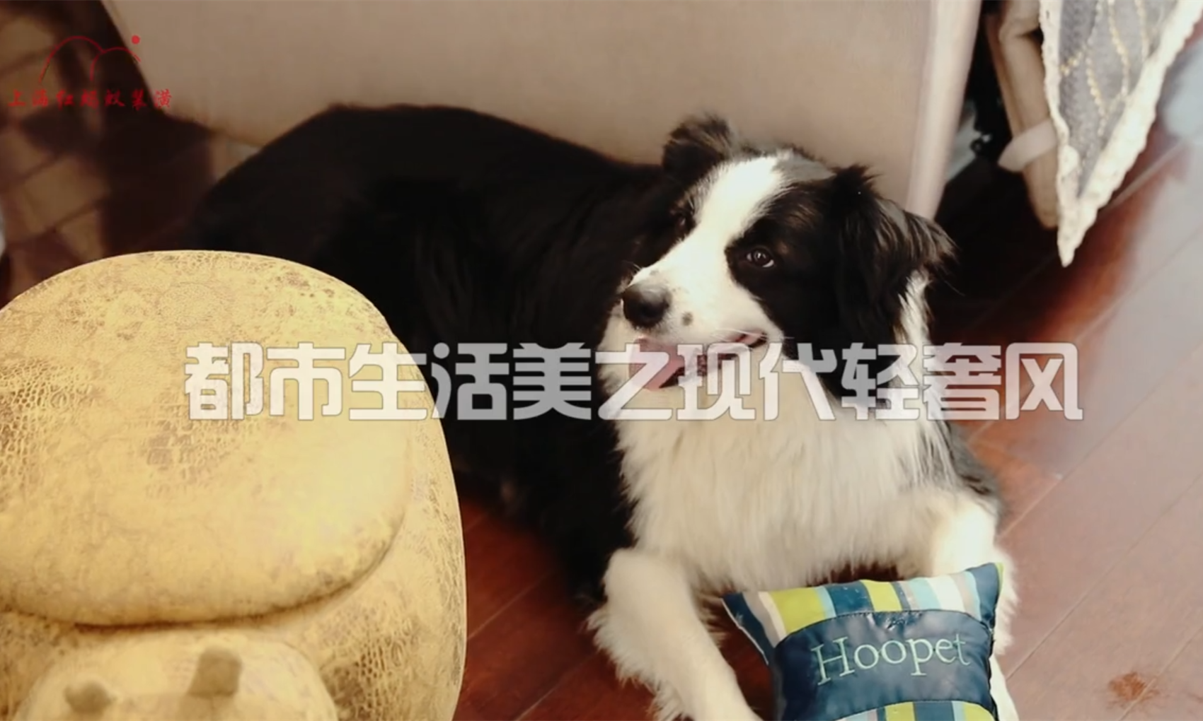 預算有限如何裝出高級感家裝？看完便知原來只需這幾步